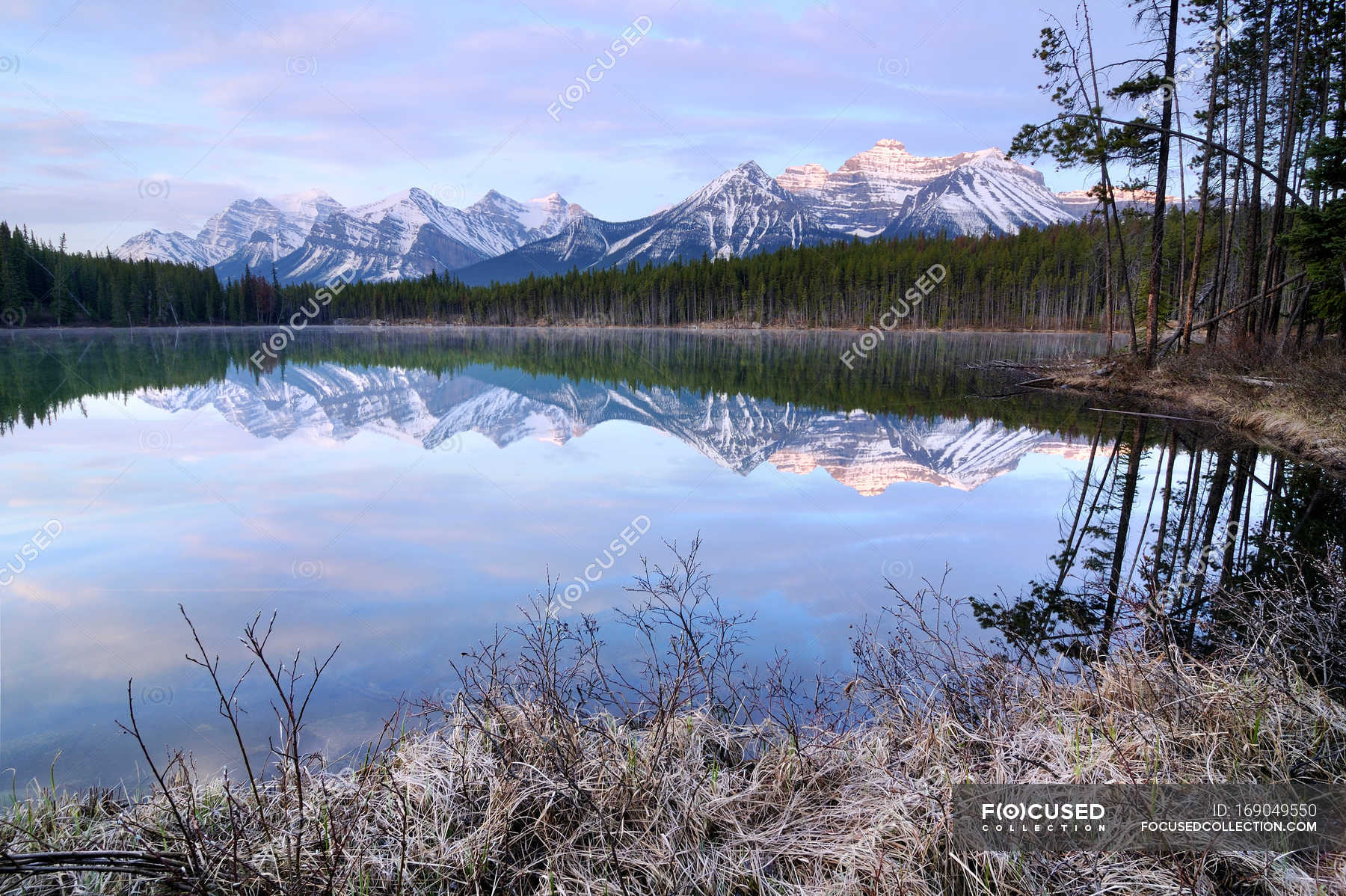 Herbert Lake and Bow Range, Banff National Park, Alberta, Canada ...