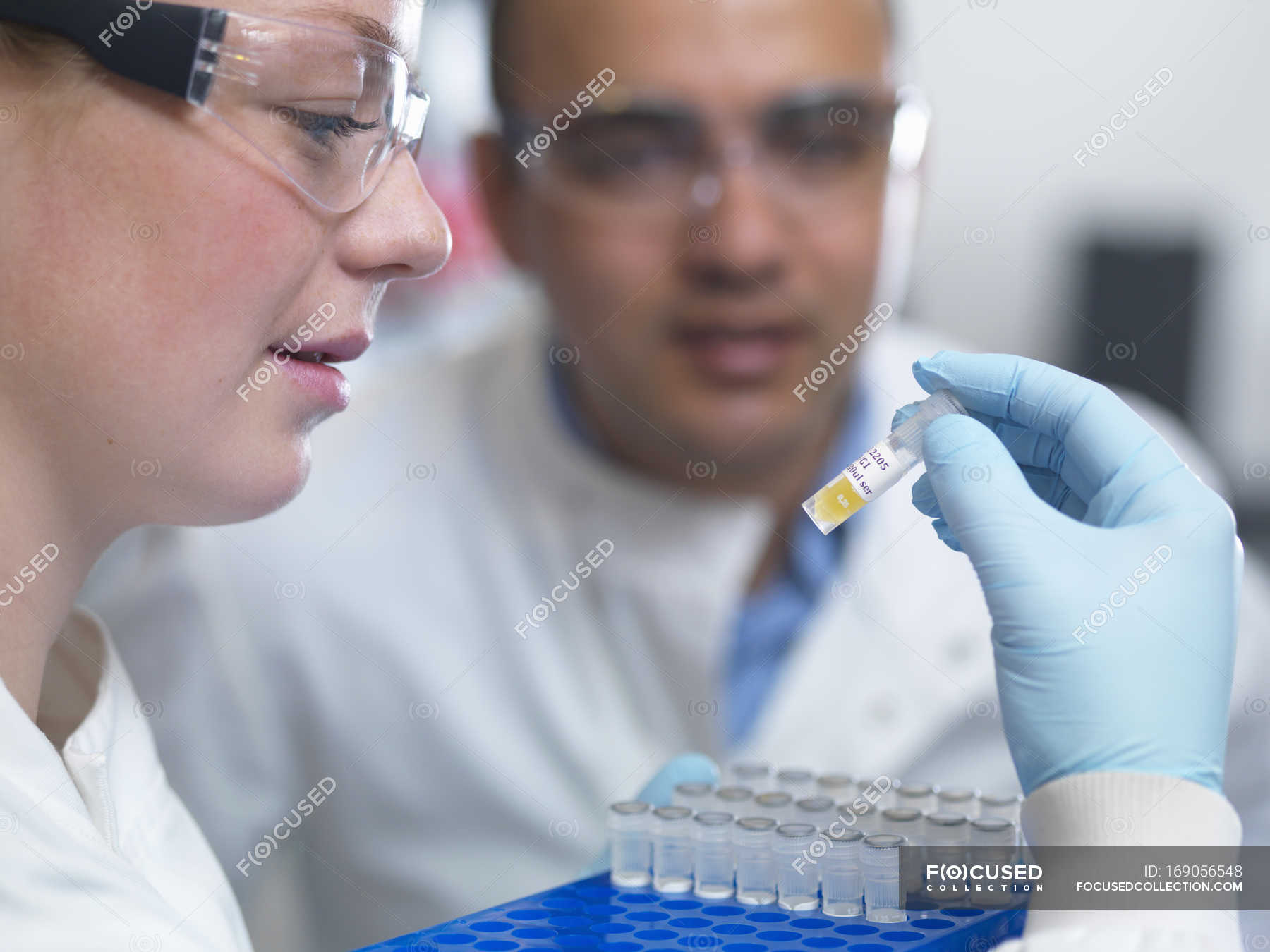 Ensayo Farmacológico Fotos De Stock Imágenes Sin Royalties Focused 