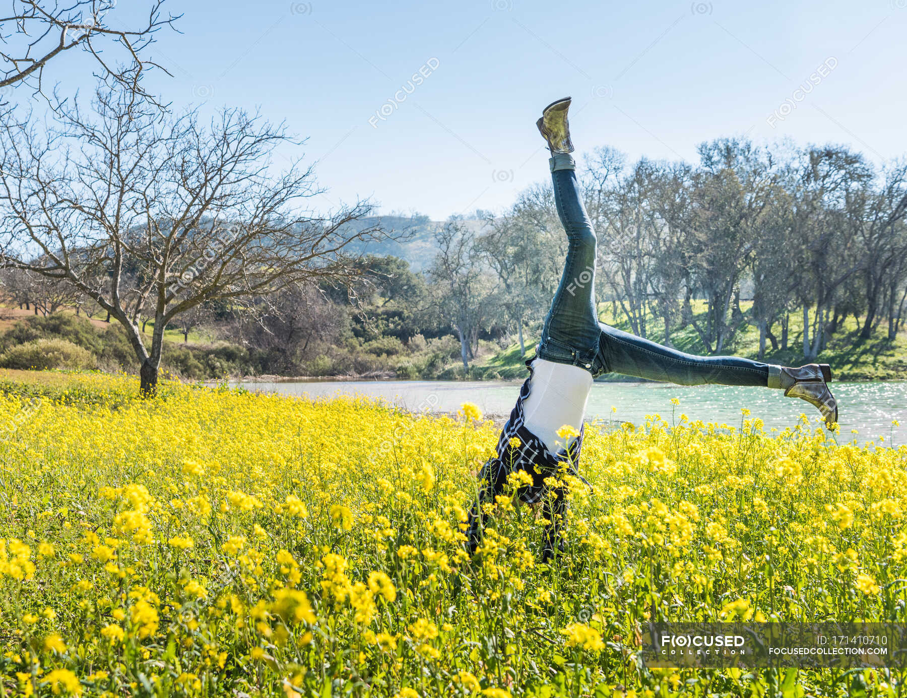 Mature Woman Doing Cartwheel In Field Of Wild Flowers Paso Robles California Usa — 40 To 44