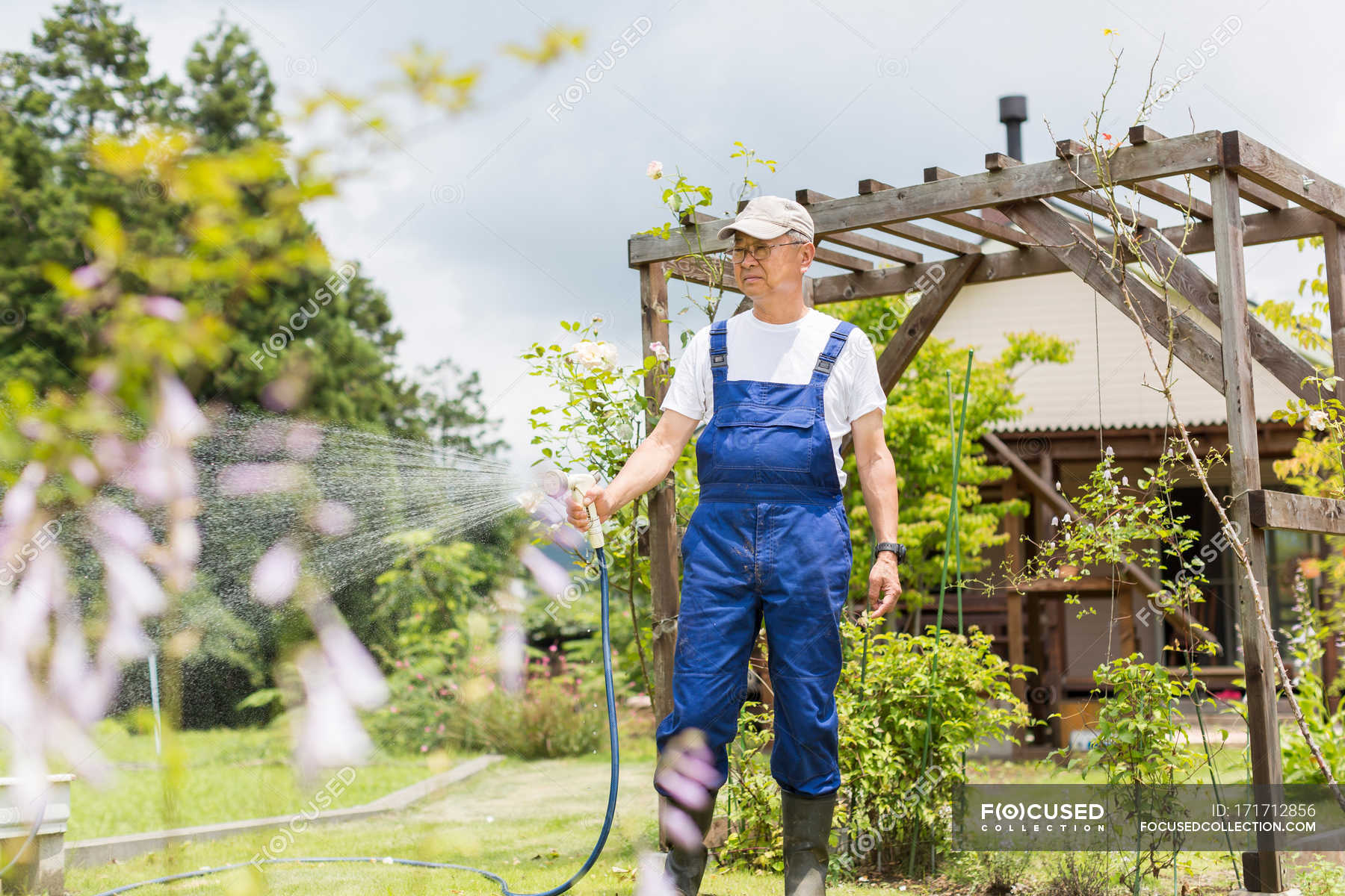 Сосед не ухаживает за участком. Man watering Plants.