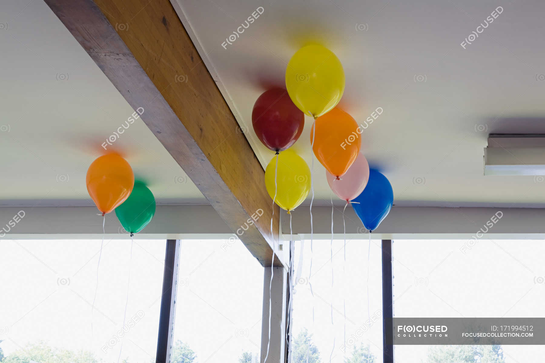 Ceiling Decorated With Colorful Helium Balloons Natural Light