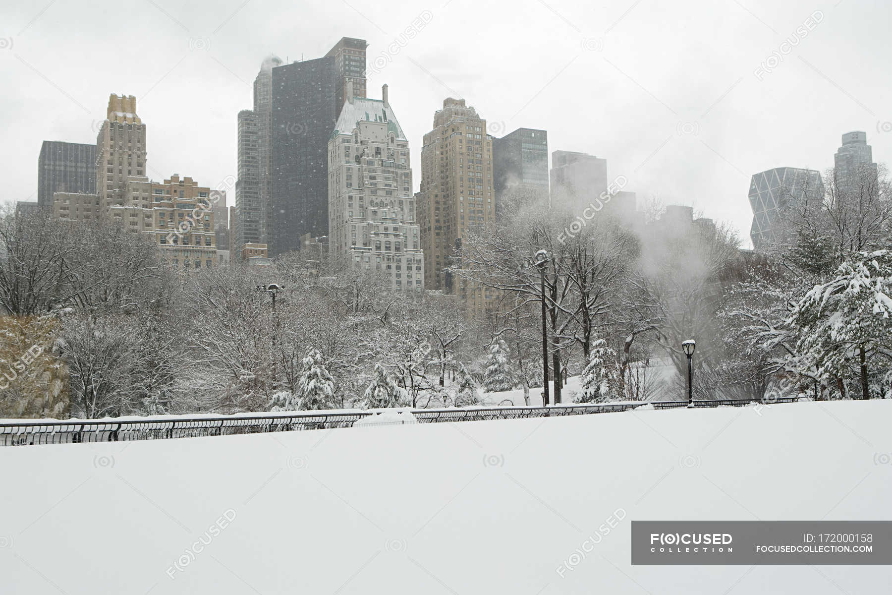 Central Park Im Schnee Mit Gebauden Im Hintergrund New York Usa Abgedeckt Nebel Stock Photo