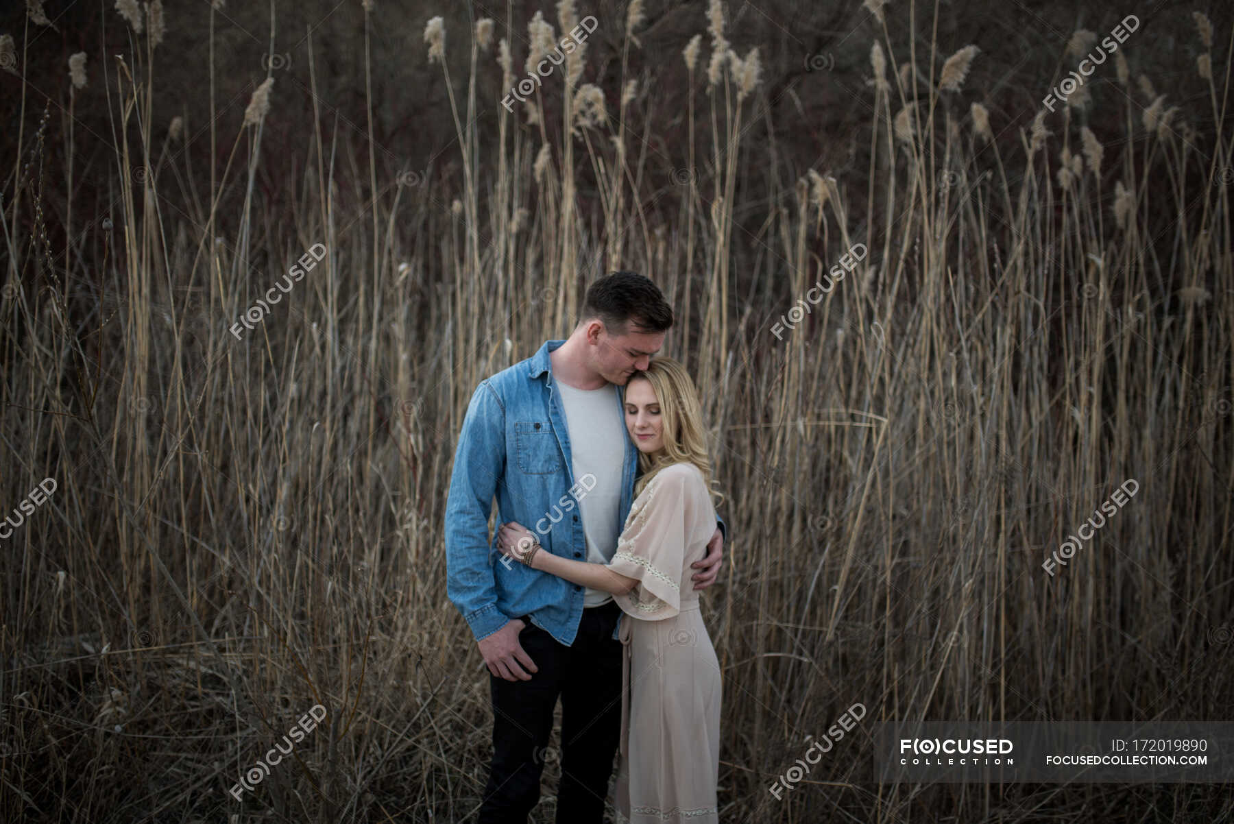 Couple Hugging And Kissing Tall Grass Field In Background Ottawa Ontario — Girlfriend 