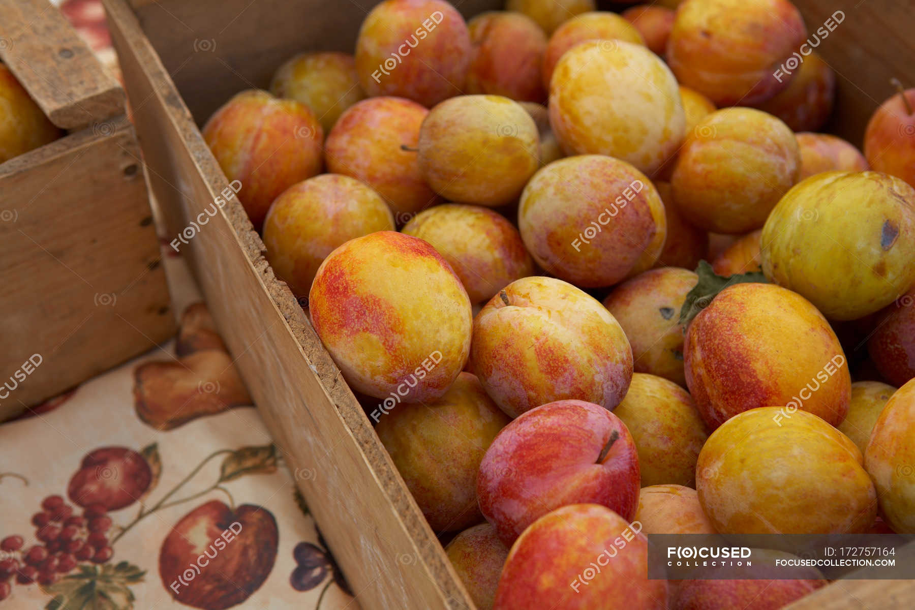 Crates of ripe plums — indoors, Large Group of Objects Stock Photo