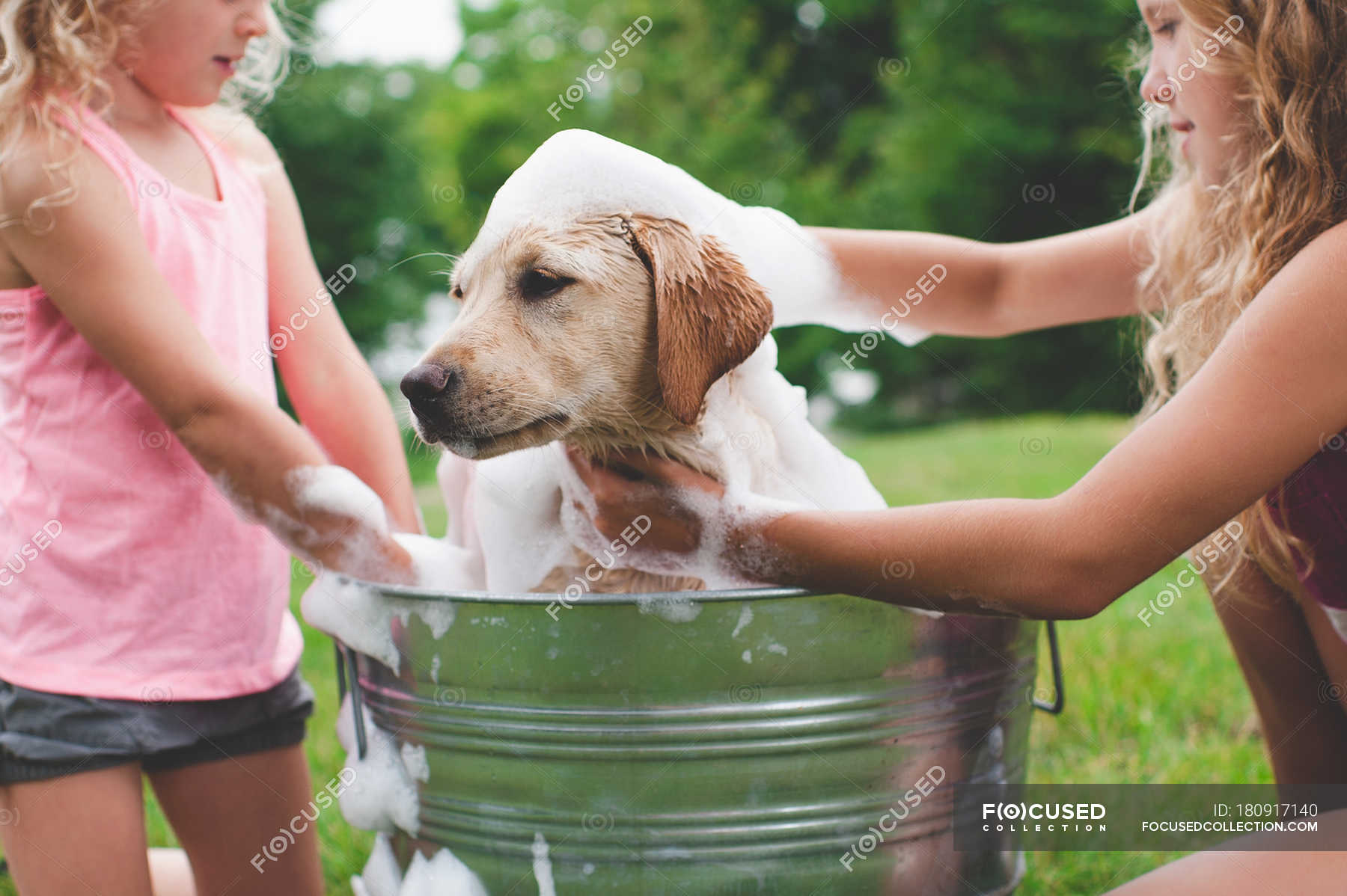 Look after your pet. Девушка моется с собакой. Девочка и щенок купаются. Девочка моет собаку. Девушка купает собаку.