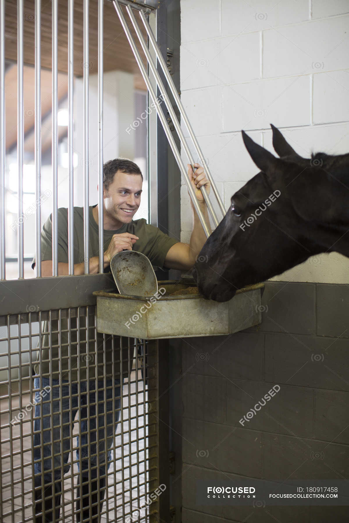 male-stablehand-feeding-horse-through-doorway-in-stables-leisure-t