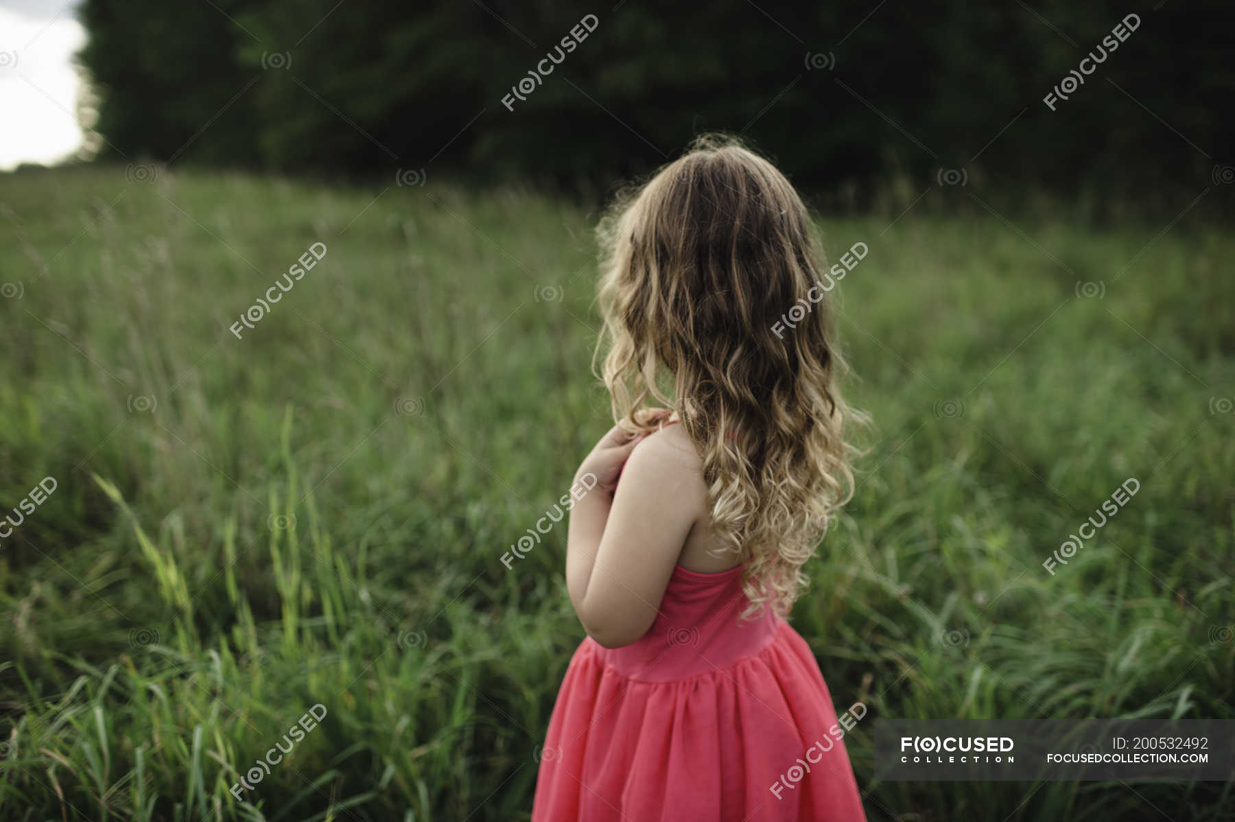 Rear view of blond haired girl looking out over field — female, beauty ...