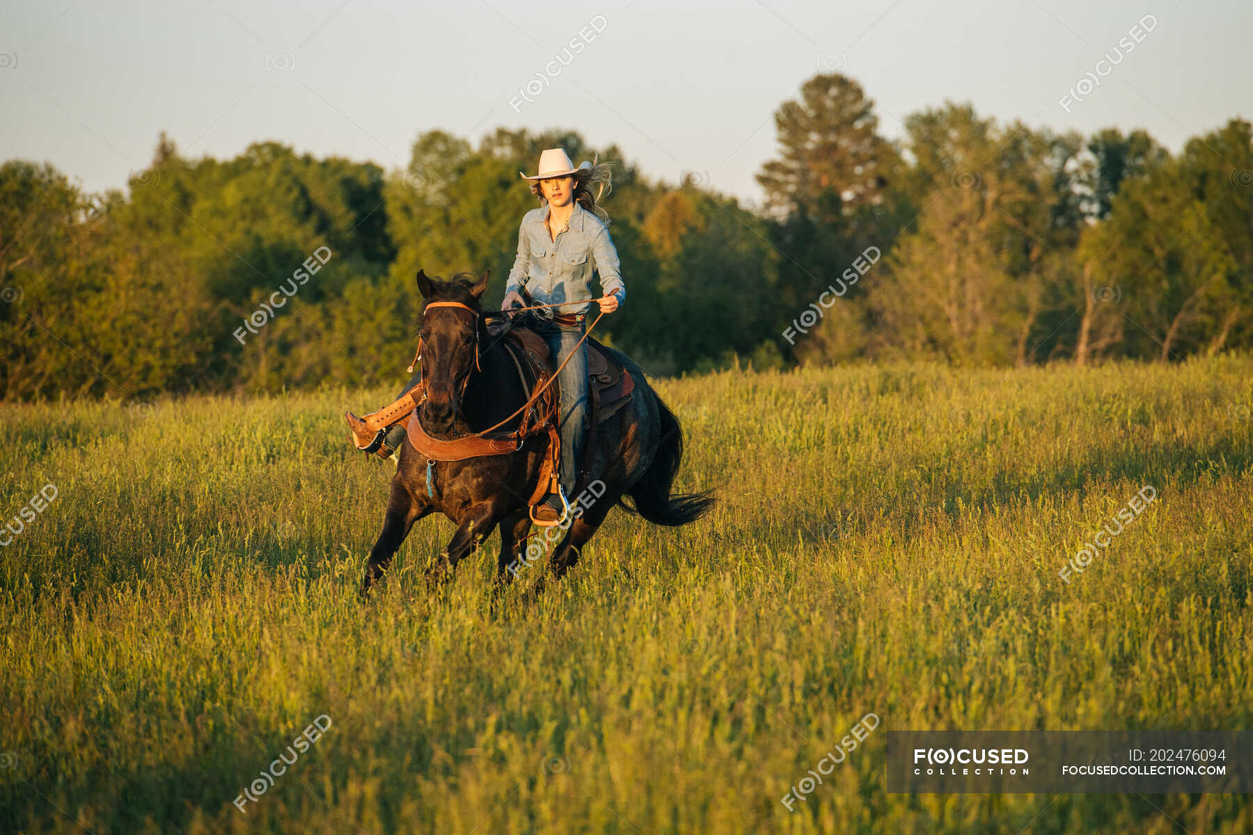 Young woman riding horse in field — horse riding, young adult - Stock ...