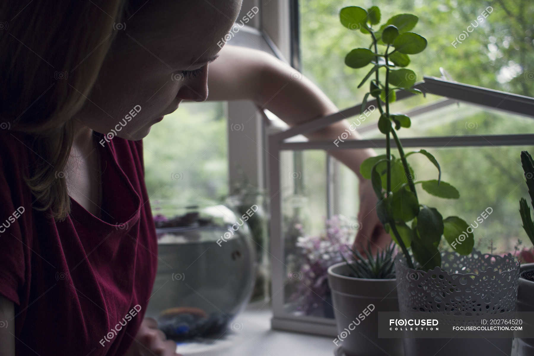 Young Woman Removing Potted Plant From Windowsill Terrarium Side