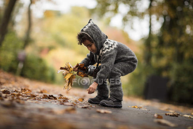 Giovane ragazza che raccoglie foglie di autunno — Foto stock