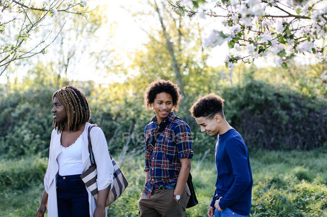 Group of friends, walking through park — Stock Photo