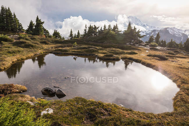 Pond on Mount Baker — Stock Photo