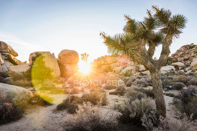 Formations rocheuses au coucher du soleil — Photo de stock