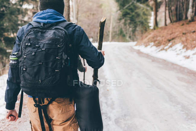 Male hiker hiking along forest road — Stock Photo