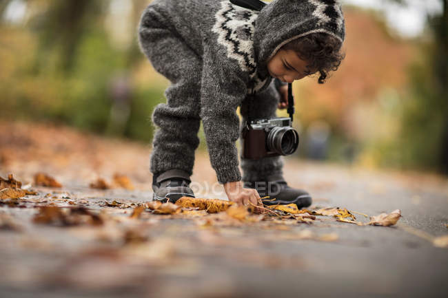 Jeune fille collecte feuilles d'automne — Photo de stock