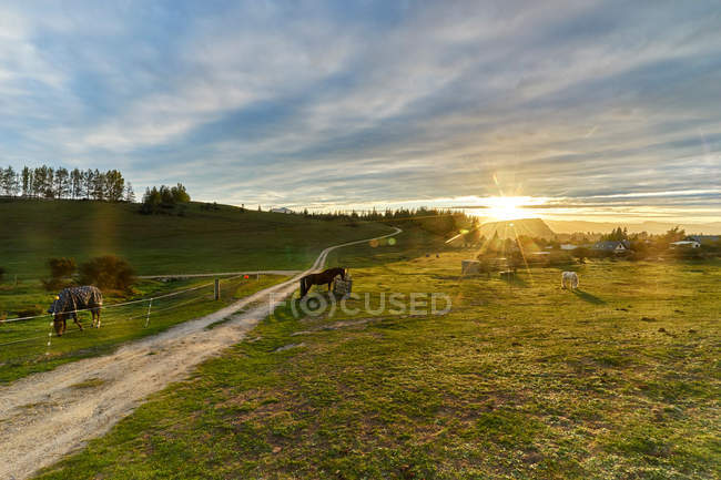 Countryside view at Queenstown — Stock Photo