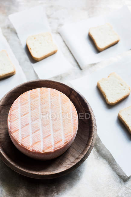 Mini-Toasts mit halbweichem Käse — Stockfoto