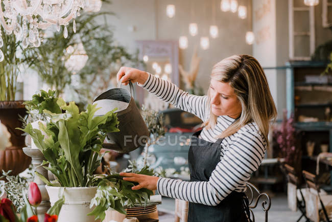 Blumenhändler gießt Blumen — Stockfoto