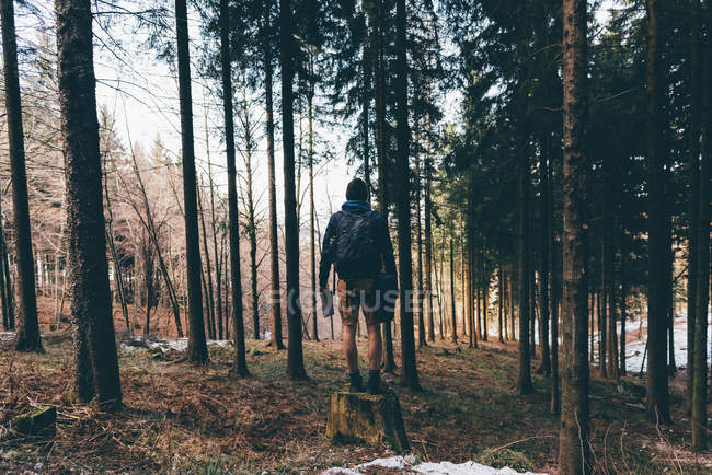 Männlicher Wanderer steht auf Waldbaumstumpf — Stockfoto