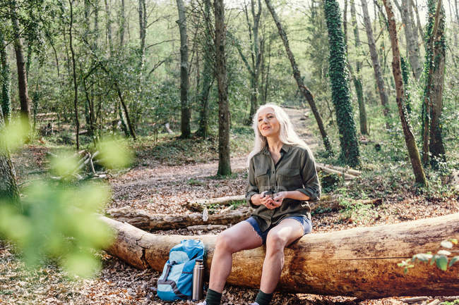 Женщина-турист сидит на бревно в лесу — стоковое фото