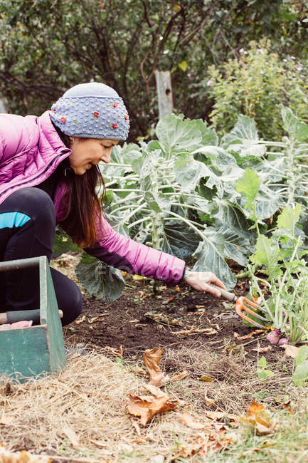 Жінка використовує маленьку садову виделку — стокове фото