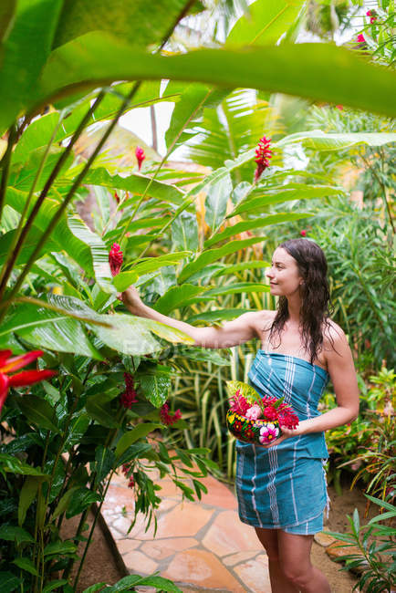 Женщина собирает свежие цветы — стоковое фото