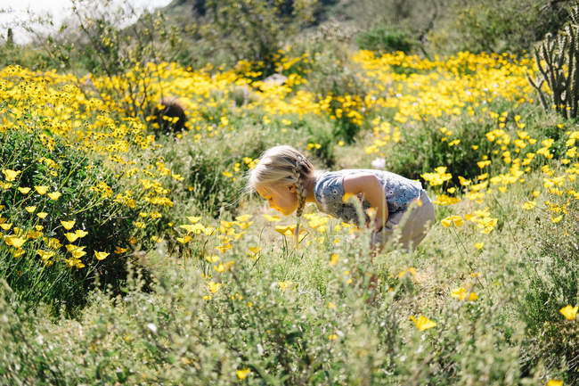 Menina no prado de flores silvestres — Fotografia de Stock