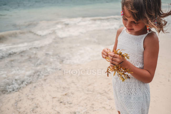 Girl playing with dry seaweed — Stock Photo