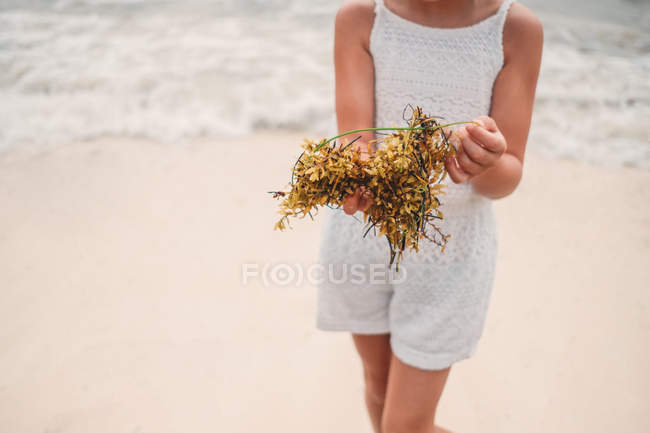 Девушка играет с сухими водорослями на берегу моря — стоковое фото