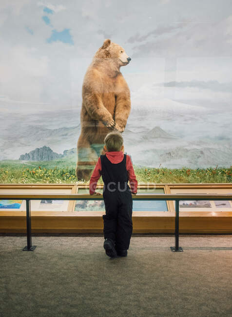 Молодий хлопчик у музеї, дивиться на виставку. — стокове фото