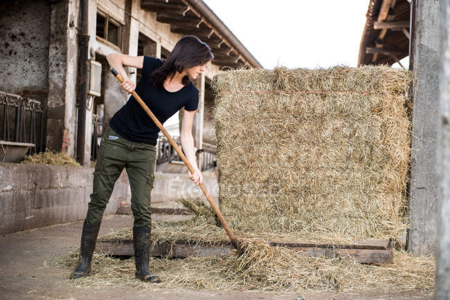 Female farmer pitch forking straw — Stock Photo
