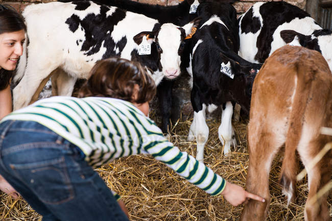 Femmina contadino e ragazzo indicando vitelli — Foto stock