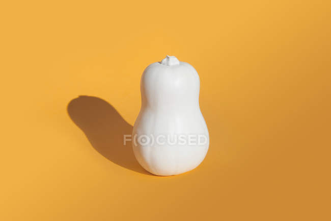 Butternut squash verniciato bianco — Foto stock