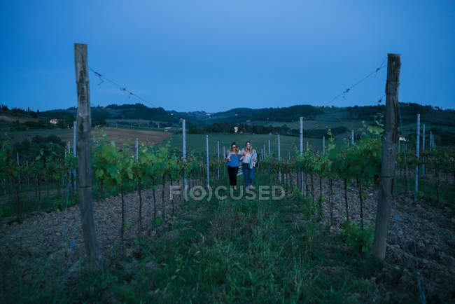 Turistas em vinhedo, Toscana, Itália — Fotografia de Stock