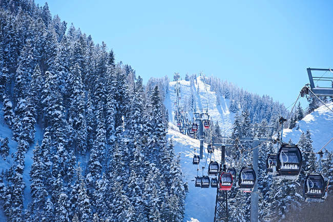 Teleféricos subindo sobre neve arborizada — Fotografia de Stock