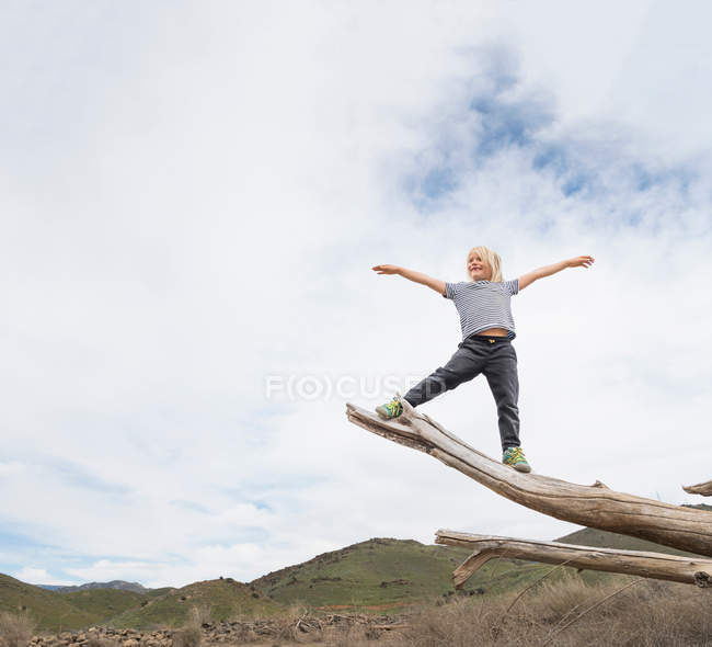 Niño balanceándose en el extremo del tronco del árbol - foto de stock