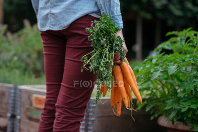 Frau im Gemüsegarten — Stockfoto