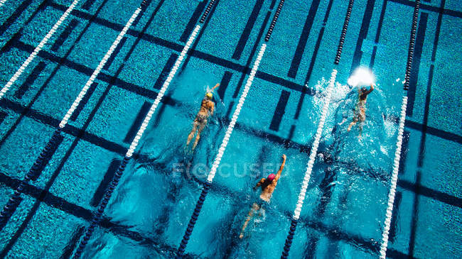 Vista aérea de los nadadores en la piscina - foto de stock