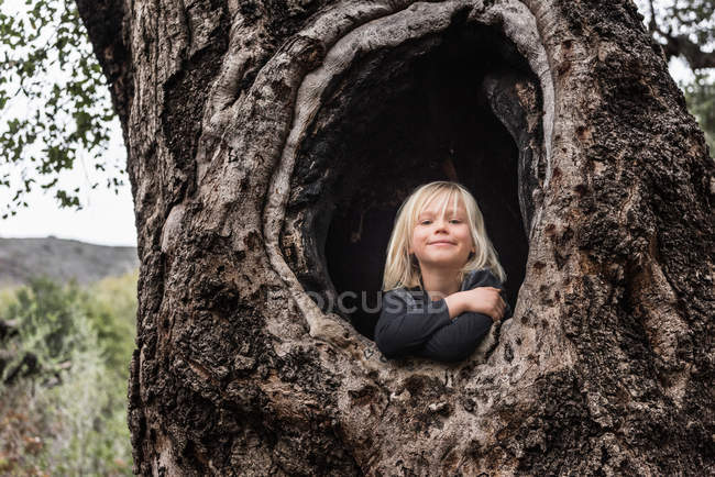 Young boy, sitting in hollow of tree — Stock Photo