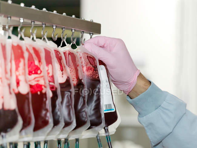Ags of donated blood — Stock Photo