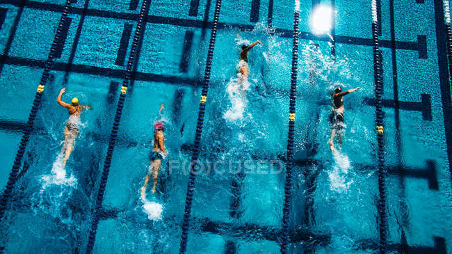 Вид зверху на плавців у басейні — стокове фото