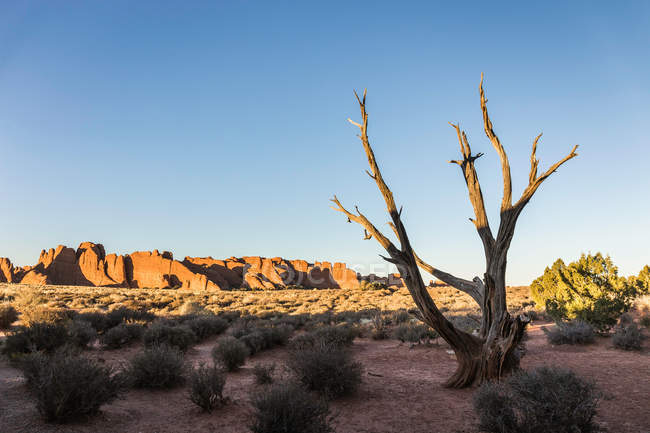 Rock formation at Arches National Park — Stock Photo