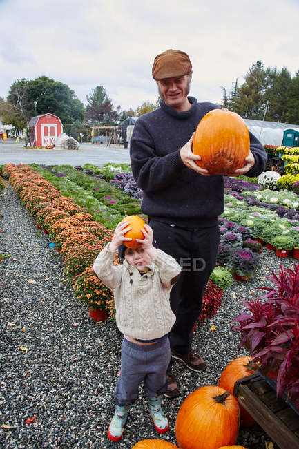 Boy and his father holding pumpkins — Stock Photo