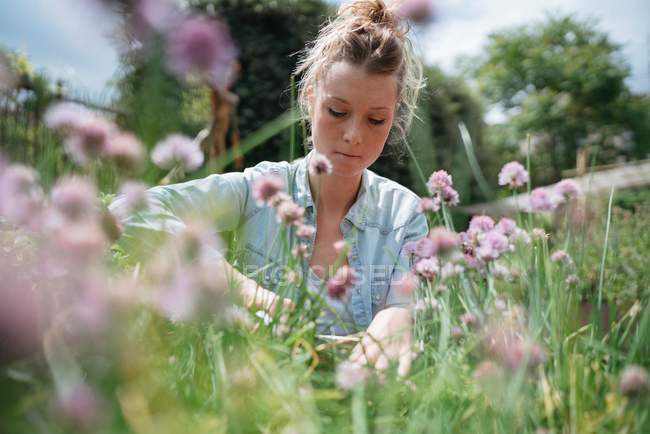 Mulher jardinagem no jardim público — Fotografia de Stock
