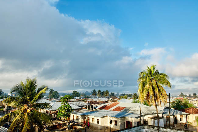 Palm trees and rooftops — Stock Photo