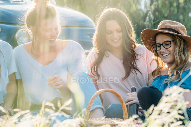 Amigos en la hierba alta teniendo picnic - foto de stock