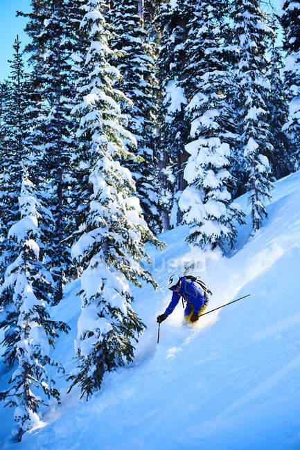 Uomo sciare lungo la foresta ripida — Foto stock