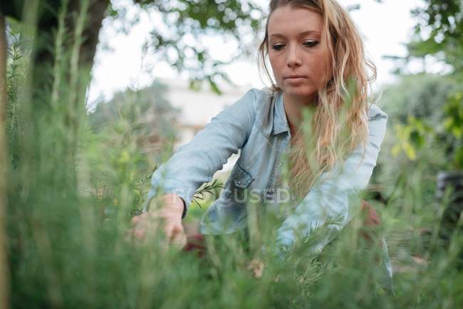 Woman tending to plants — Stock Photo