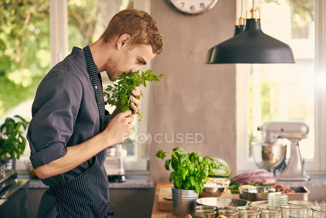 Chef cheirando ervas frescas — Fotografia de Stock