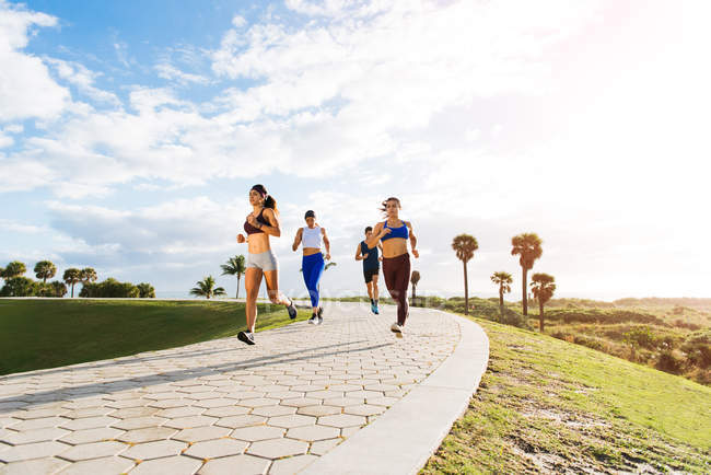 Group of friends exercising — Stock Photo